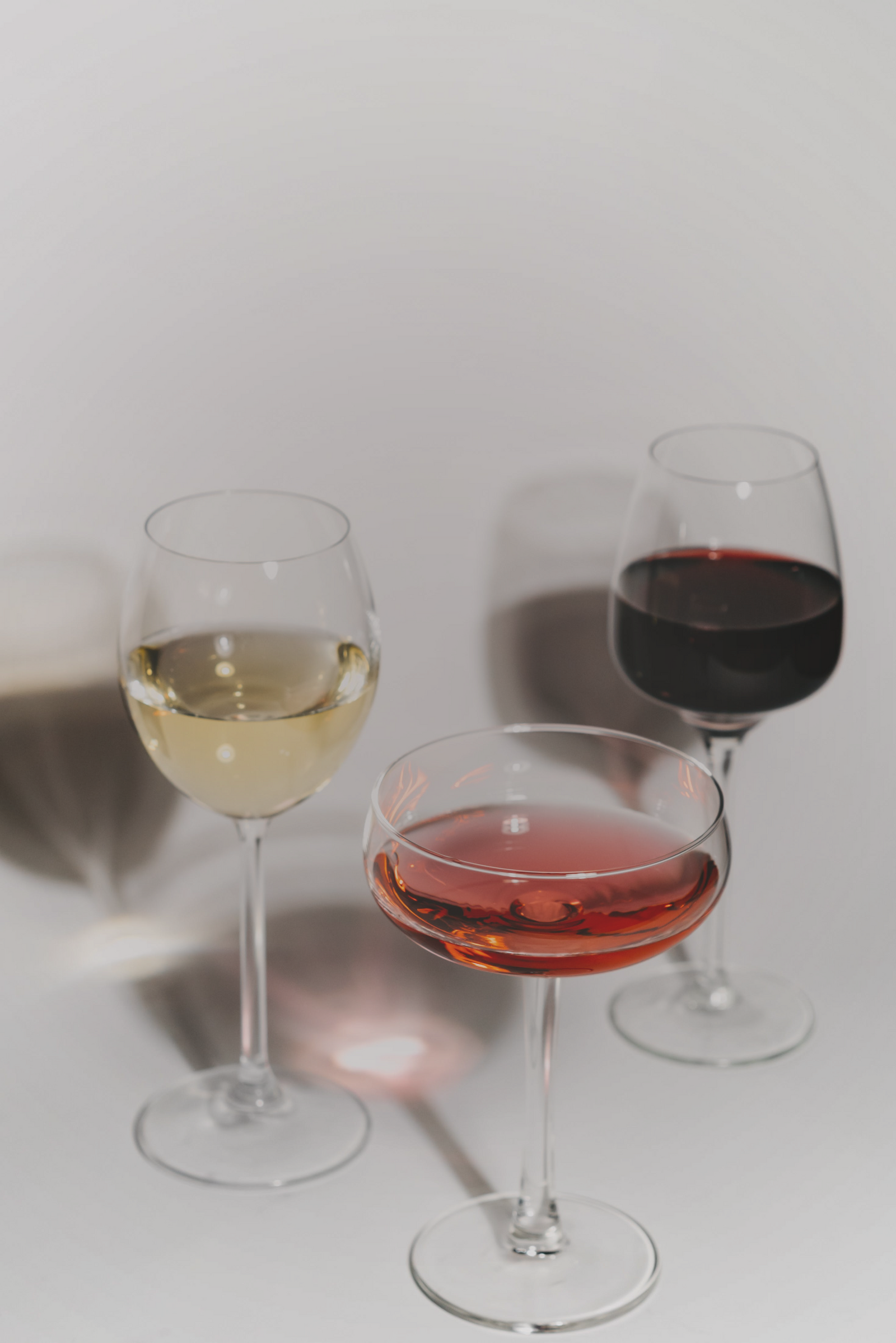 Cheers to Inclusivity: Top 3 Tips for the Ultimate Festive Host!