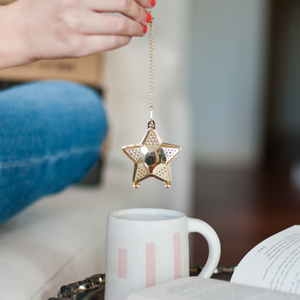 Food-safe stainless steel Gold Star Tea Infuser | The Lake