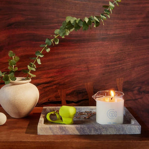 Wild Lust Massage Oil Candle | Dame Products | The Lake