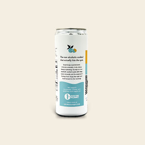 Ocean Mineral Cocktail