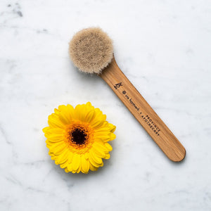 Province Apothecary Daily Glow Facial Dry Brush| Bath and Body Rituals | The Lake