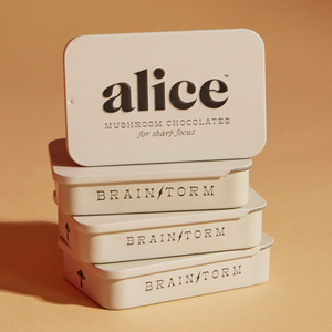 Alice Brainstorm mushroom chocolates for focus | The Lake