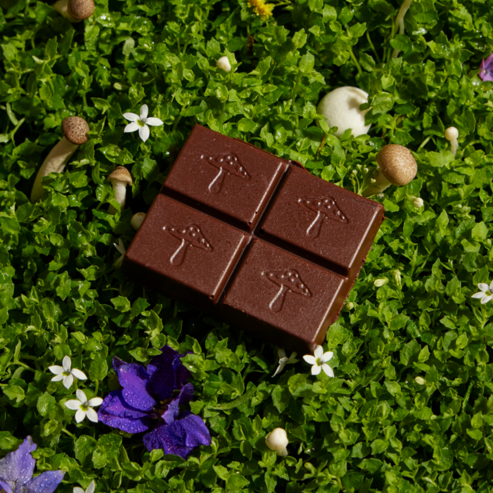 Alice Nightcap mushroom chocolates for deep sleep | The Lake