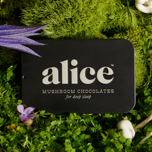Alice Nightcap mushroom chocolates for deep sleep | The Lake