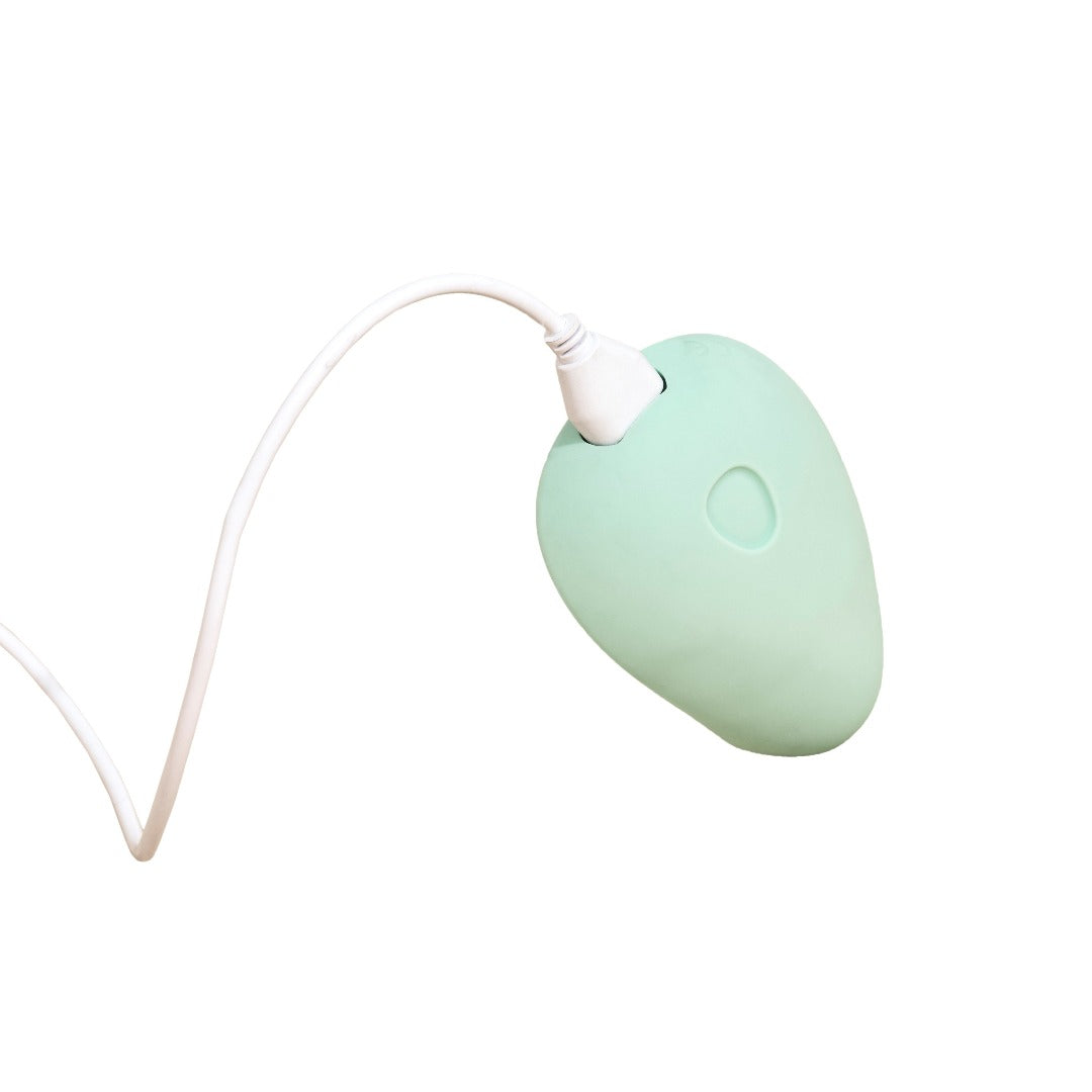 Dame Pom charger | Dame Products | The Lake