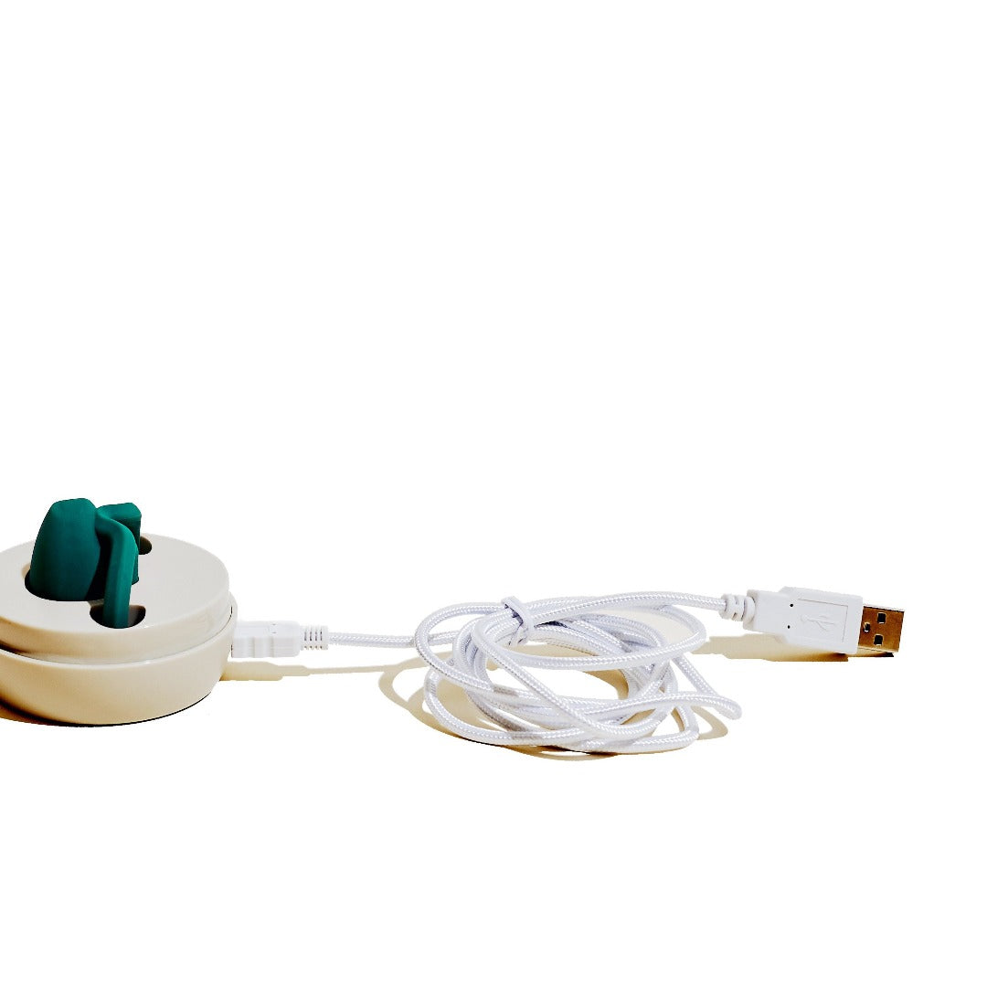 Replacement Cable for Dame Eva charger | Dame Products | The Lake