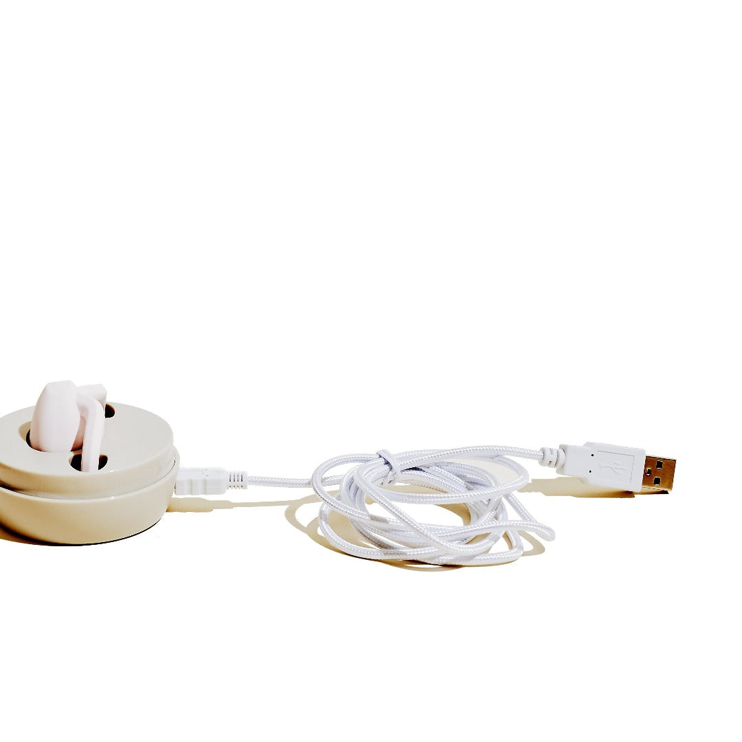 Replacement Cable for Dame Eva charger | Dame Products | The Lake