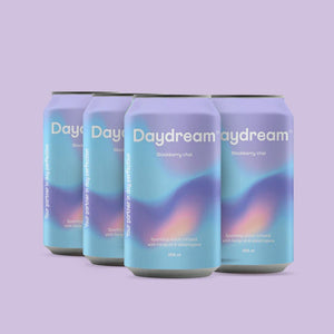 Daydream Blackberry Chai 6 pack | Carbonated water infused with adaptogens | The Lake