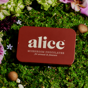 Alice Mushroom chocolate for arousal | Cordyceps + Horny Goat Weed | The Lake